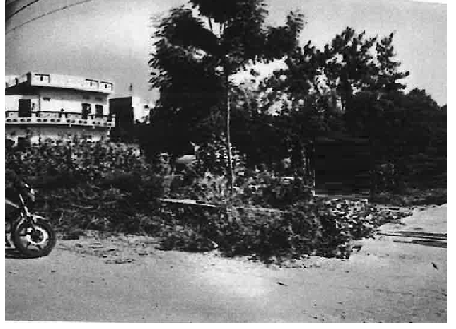course